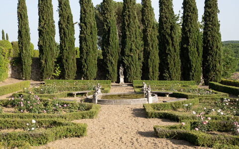 Terrazza e Libreria: Pianta, Cielo, Nube, Vegetazione, Albero, Erba, Paesaggio Naturale, Hedge, Biome, Sempreverde