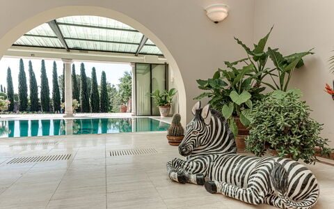 Terrazza e Libreria: Pianta, Interior Design, Costruzione, Finestra, Albero, Arecales, Pavimentazione, Legna, Immobiliare, Erba
