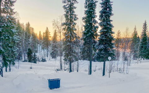 Ruka-Ihtinki 4 a 3: Neve, Inverno, Ramo, Albero, Ambiente Naturale, Foresta, Paesaggio, Congelamento, Brina