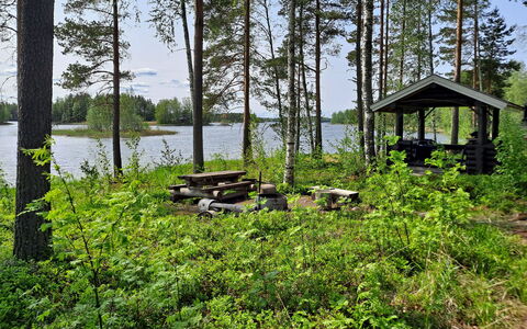 Haapaniemi, Cjoe020: Legna, Villetta, Log Cabin, Foresta, Capannone, Edifici Giardino, Larice, Woodland, Color Legno