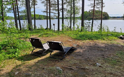 Haapaniemi, Cjoe020: Legna, Villetta, Log Cabin, Foresta, Capannone, Edifici Giardino, Larice, Woodland, Color Legno