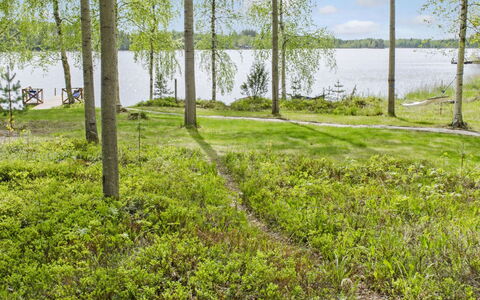 Honkaniemi: Legna, Villetta, Log Cabin, Foresta, Capannone, Edifici Giardino, Larice, Woodland, Color Legno
