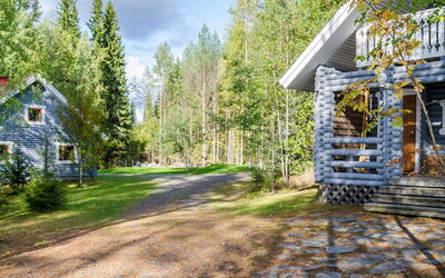 Metsätähti