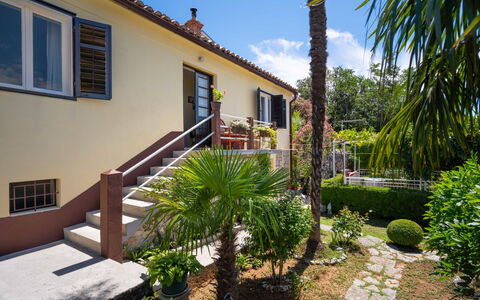 Jelena: Proprietà, Casa, Immobiliare, Costruzione, Casa, Zona Residenziale, Estate, Cortile, Backyard, Albero