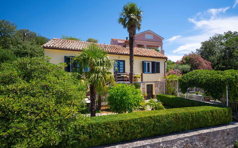 Jelena: Pianta, Cielo, Costruzione, Nube, Finestra, Albero, Vegetazione, Casa, Arecales, Zona Residenziale