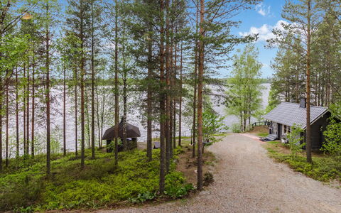 Hatun Huilaus: Albero, Comunita 'Impianto, Woodland, Foresta, Tronco, Villetta, Boschetto, Larice