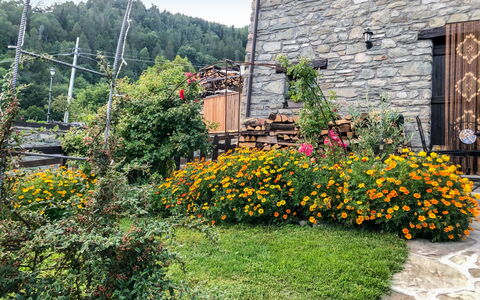 Maison chez Nous: Pianta, Fiore, Proprietà, Comunita 'Impianto, Costruzione, Cielo, Finestra, Vegetazione, Porta, Erba