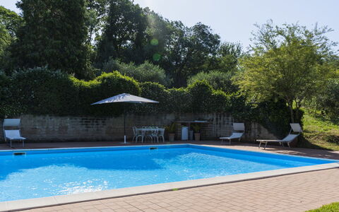 Le Querce: Acqua, Cielo, Pianta, Proprietà, Piscina, Shade, Rettangolo, Costruzione, Albero, Erba