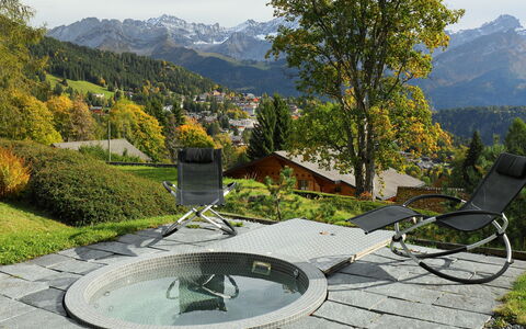 Chalet Maurice: Montagna, Paesaggio Naturale, Natura Selvaggia, Albero, Foglia, Botanica, Catena Montuosa, Alpi, Paesaggio, Turismo