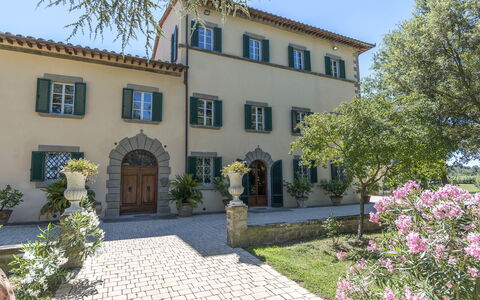 Villa Ivana - Cortona: Proprietà, Costruzione, Casa, Immobiliare, Casa, Estate, Villa, Dimora, Quartiere, Albero