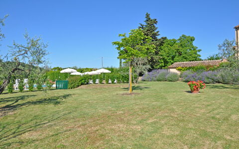 I Glicini: Proprietà, Lotto, Erba, Immobiliare, Pascolo, Albero, Casa, Graminacee, Prato, Cortile