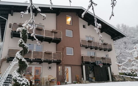 Pians 115: Costruzione, Proprietà, Finestra, Neve, Pianta, Ramo, Albero, Casa, Ramoscello, Congelamento