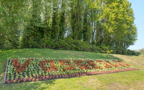 Wanderlust with Garage: Pianta, Albero, Paesaggio Naturale, Cielo, Fiore, Hedge, Erba, Sempreverde, Arbusto, Woody Impianto