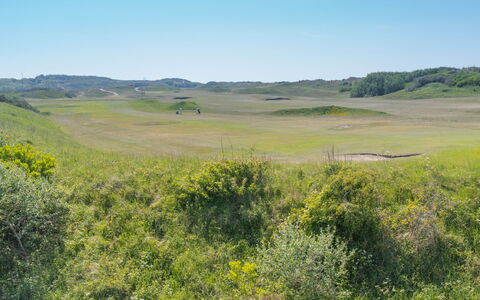 Wanderlust with Garage: Cielo, Pianta, Comunita 'Impianto, Paesaggio Naturale, Lotto, Agricoltura, Erba, Plain, Pascolo, Albero