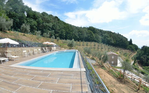 Villa Orchidea: Piscina, Proprietà, Acqua, Immobiliare, Tempo Libero, Costruzione, Casa, Serbatoio, Villa, Estate