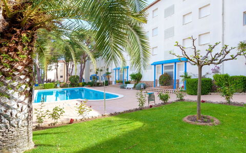 Residencial Magda Park: Proprietà, Costruzione, Immobiliare, Erba, Piscina, Casa, Albero, Condominio, Casa, Palma