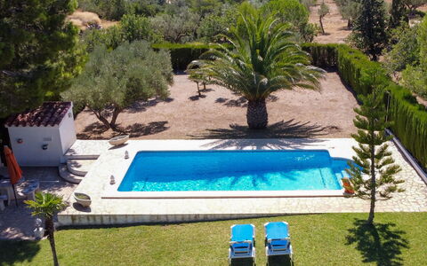 Reny: Piscina, Proprietà, Erba, Casa, Villa, Immobiliare, Albero, Ricorrere, Costruzione, Palma