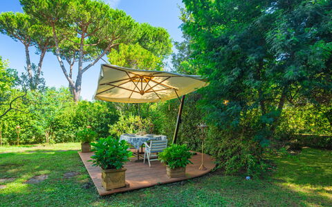 Madda: Natura, Proprietà, Verde, Immobiliare, Paesaggio Naturale, Casa, Albero, Erba, Architettura, Botanica
