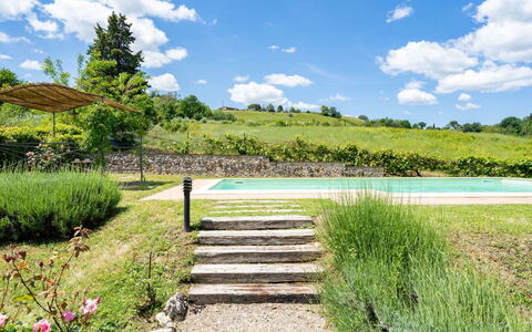 Villa Alba: Paesaggio Naturale, Vegetazione, Natura, Riserva Naturale, Erba, Giardino Botanico, Cielo, Passerella, Ambiente Naturale, Stagno