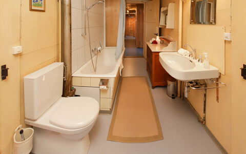Chalet Ahorni: Lavello, Idraulico Fixture, Rubinetto, Lavandino Del Bagno, Specchio, Bagno, Viola, Costruzione, Interior Design