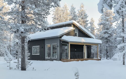 Pallaskieppi