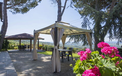 Giglio: Gazebo, Baldacchino, Padiglione, Pergola, Fiore, Primavera, Shade, Pianta, Struttura Esterna, Albero