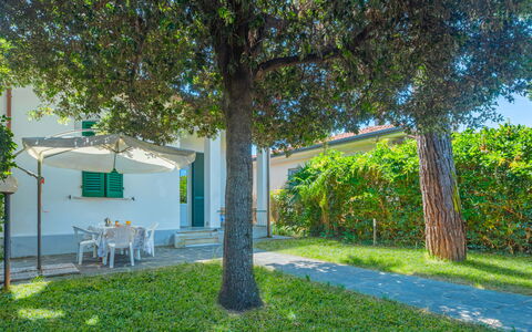 Anita: Pianta, Costruzione, Albero, Shade, Finestra, Vegetazione, Lotto, Woody Impianto, Urban Design, Manto Stradale