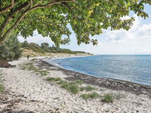 Østre Sømarken