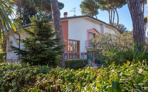 Patrizia: Pianta, Cielo, Costruzione, Proprietà, Comunita 'Impianto, Finestra, Albero, Casa, Vegetazione, Arecales