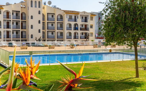 Imperial Puerto: Proprietà, Ricorrere, Costruzione, Cittadina, Albero, Appartamento, Immobiliare, Architettura, Quartiere, Vacanza