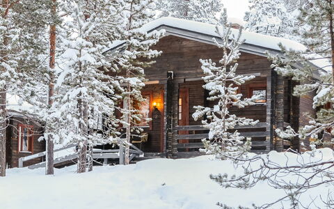 Lemmenliekki 3: Legna, Villetta, Log Cabin, Foresta, Capannone, Edifici Giardino, Larice, Woodland, Color Legno