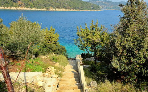 Flora: Acqua, Cielo, Nube, Risorse Idriche, Azzurro, Albero, Paesaggio Naturale, Spiaggia, Costiera E Morfologie Oceanic, Pianta