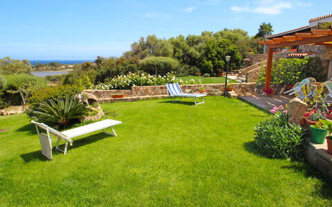 Viola: Proprietà, Prato, Erba, Giardino, Cortile, Backyard, Immobiliare, Lotto, Casa, Paesaggio