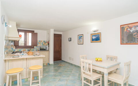 Viola: Pianta, Acqua, Proprietà, Mobilia, Costruzione, Tavolo, Finestra, Azzurro, Sedia, Interior Design