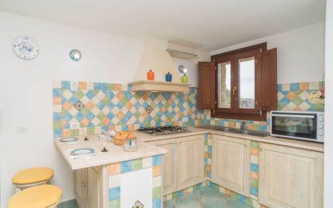 Viola: Pianta, Acqua, Proprietà, Mobilia, Costruzione, Tavolo, Finestra, Azzurro, Sedia, Interior Design
