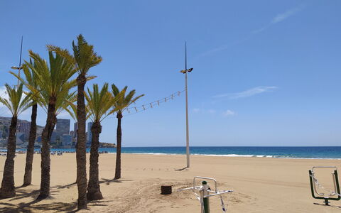 Las Palmeras: Spiaggia, Albero, Cielo, Palma, Mare, Riva, Arecales, Vacanza, Oceano, Sabbia