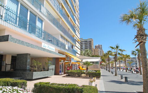 Las Palmeras: Costruzione, Uso Misto, Proprietà, Condominio, Area Metropolitana, Immobiliare, Architettura, Appartamento, Edificio Commerciale, Quartiere