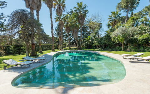 Giulia: Acqua, Pianta, Piscina, Cielo, Albero, Arecales, Shade, Mobili Da Esterno, Erba, Immobiliare
