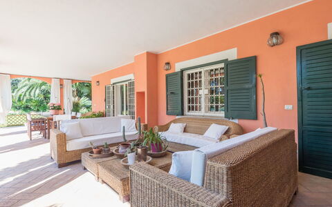 Giulia: Pianta, Proprietà, Mobilia, Pianta Della Casa, Vaso Di Fiori, Divano, Legna, Porta, Shade, Interior Design