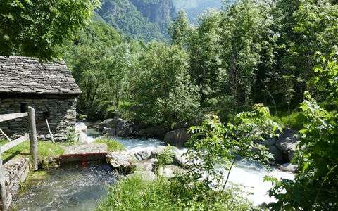 Rustico Nurell: Paesaggio Naturale, Risorse Idriche, Natura, Acqua, Vegetazione, Riserva Naturale, Alveo, Fiume, Riparia, Natura Selvaggia