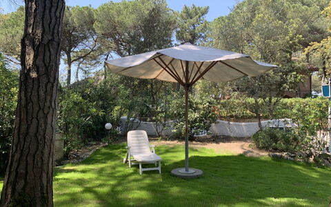 Casa delle Palme: Pianta, Proprietà, Comunita 'Impianto, Ombrello, Albero, Shade, Mobili Da Esterno, Cielo, Erba, Tavolo Esterno