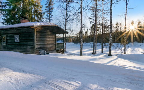 Saarijärvi: Legna, Villetta, Log Cabin, Foresta, Capannone, Edifici Giardino, Larice, Woodland, Color Legno