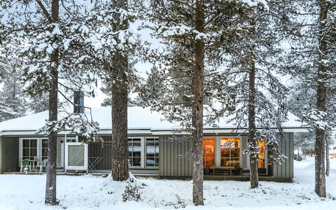 Riekonraito A1: Casa, Casa, Villetta, Inverno, Congelamento, Ramoscello, Raccordo, Neve, Woodland