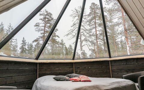 Arctic Light Hut: Legna, Soffitto, Bicchiere, Latifoglie, Illuminazione Diurna, Color Legno, Shade, Materiali Naturali, Design, Lampada