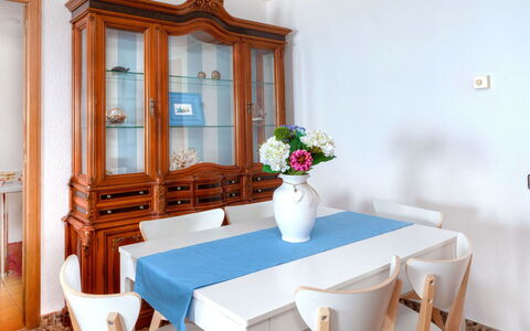 Albatros: Fiore, Tavolo, Mobilia, Pianta, Proprietà, Fotografia, Vaso, Decorazione, Azzurro, Costruzione