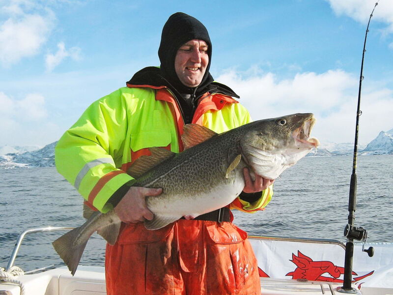 Vesterålen 1