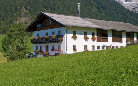 Glatzbichl: Hill Station, Proprietà, Casa, Catena Montuosa, Paesaggio Naturale, Montagna, Alpi, Casa, Costruzione, Paesino Di Montagna
