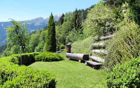Wildauer: Paesaggio Naturale, Natura, Giardino, Vegetazione, Giardino Botanico, Albero, Riserva Naturale, Natura Selvaggia, Biome, Erba