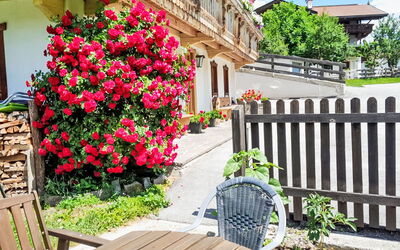 Zell am Ziller 608