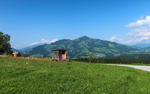 Entalhof: Cielo, Pianta, Montagna, Nube, Ecoregione, Paesaggio Naturale, Albero, Fiore, Highland